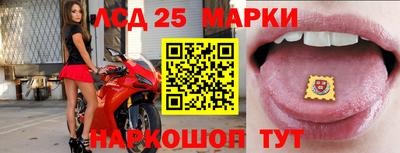 дмт Славгород