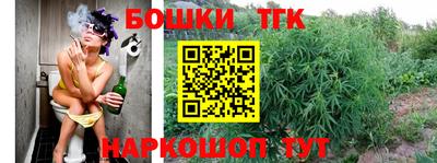 соль ск Сланцы