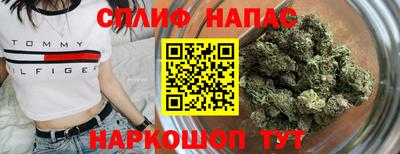 дмт Славгород