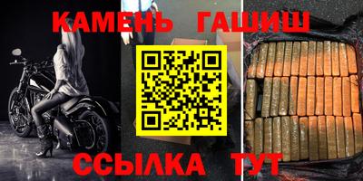 дмт Славгород