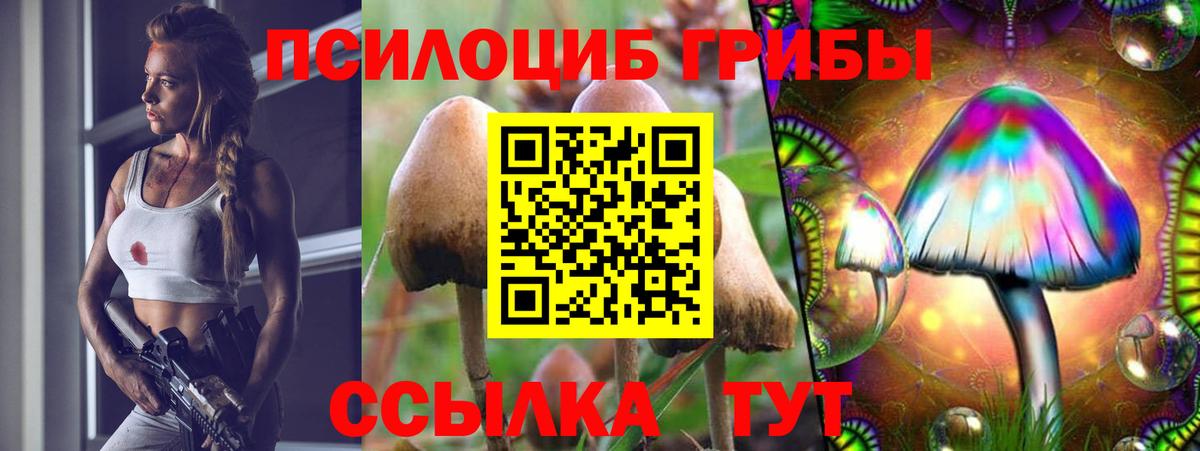 Галлюциногенные грибы Cubensis Протвино