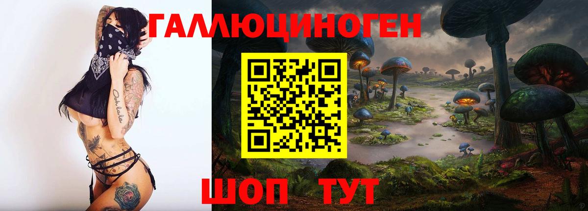 Протвино  Псилоцибиновые грибы Cubensis  Вход с VPN 